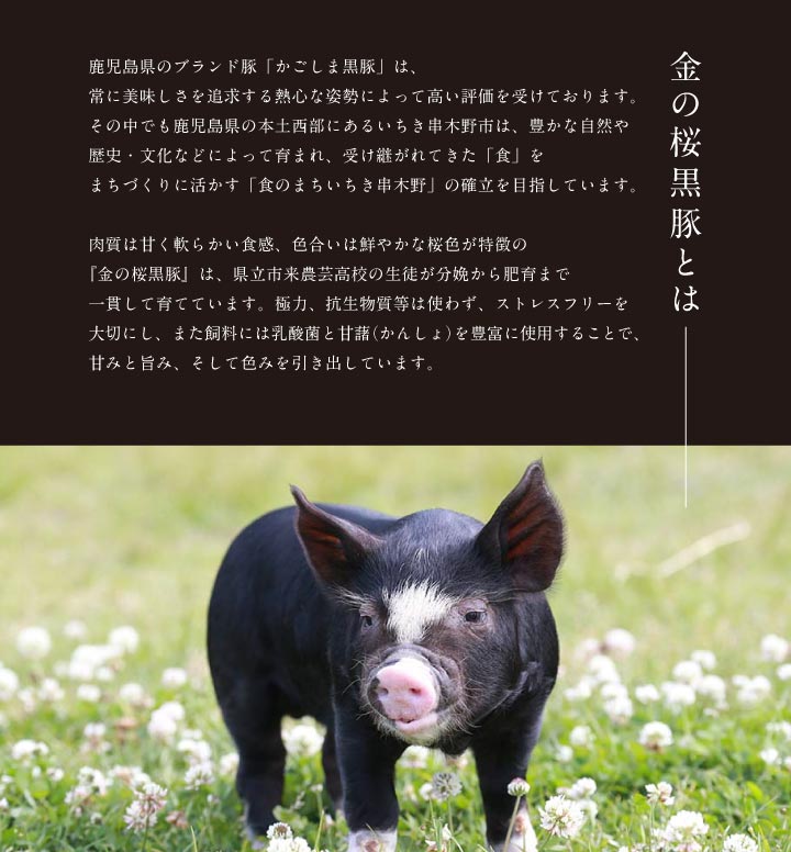 金の桜黒豚3